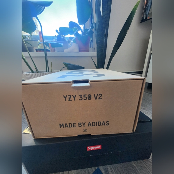 ADIDAS YEEZY BOOST 350 V2 - Picture 3 of 8